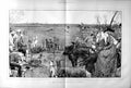 Original Old Antique Print 1873 Dog Derby Altcar Racing Sport Horses Country