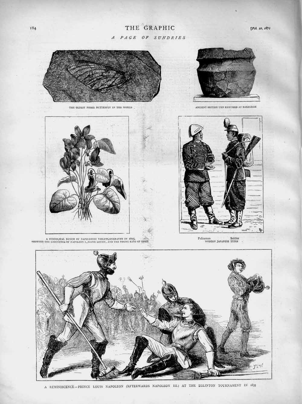 Original Old Antique Print 1873 Louis Napoleon Eglington Fossil Japanese Sier