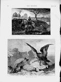 Old Antique Print 1873 Farmer Ploughing Horses Vulture Bird Wild Animals 19th