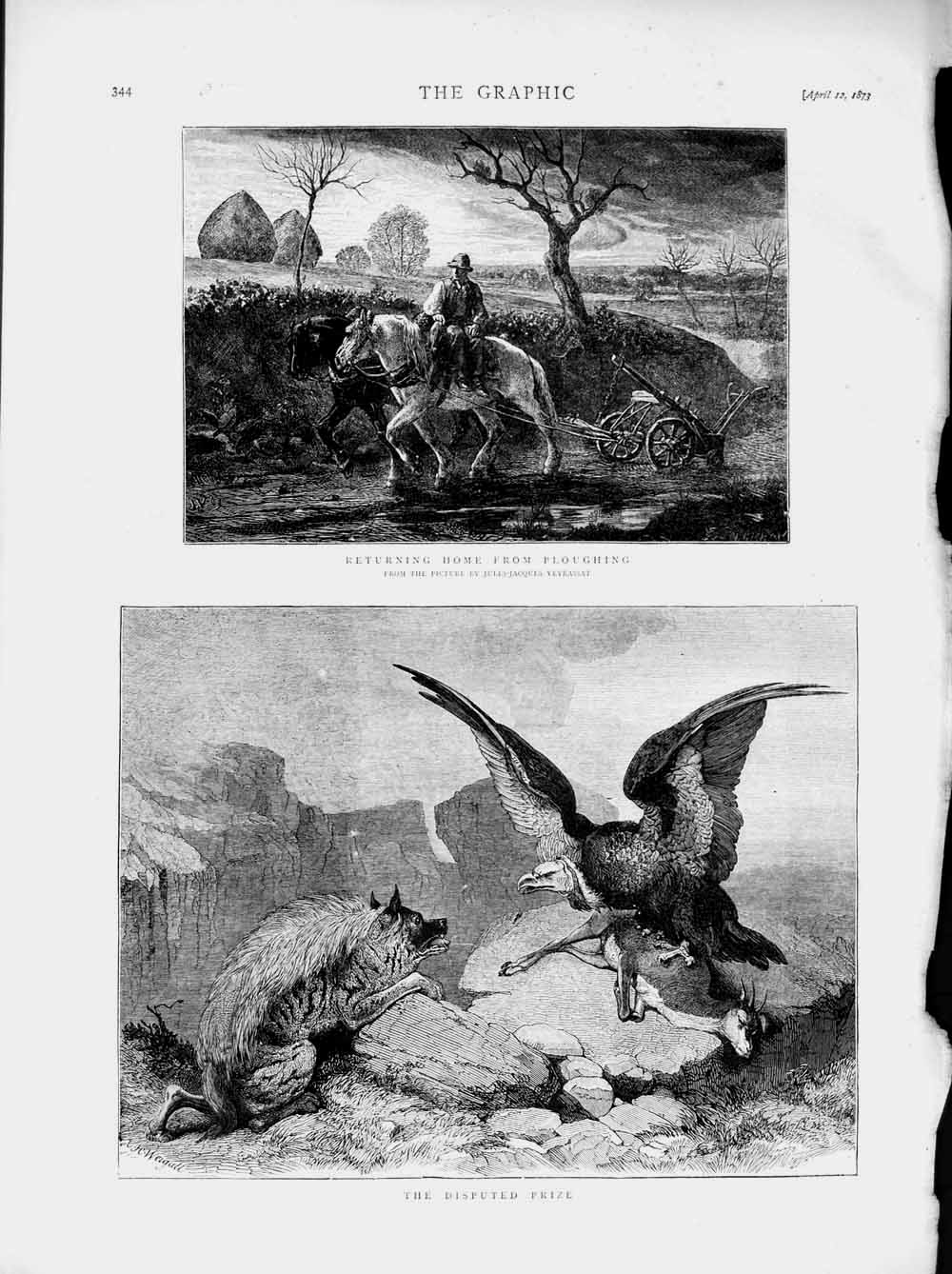 Old Antique Print 1873 Farmer Ploughing Horses Vulture Bird Wild Animals 19th