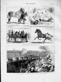 Old Antique Print 1873 Chatham Prince Henry Bastion Alexandria Park Horse 19th
