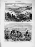 Original Old Antique Print 1873 Prince Town Horrabridge Horse Foxton Mire Sier
