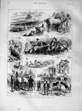 Old Antique Print 1873 Bipeds Quadrupeds Barnet Fair Horses Cattle Dogs 19th