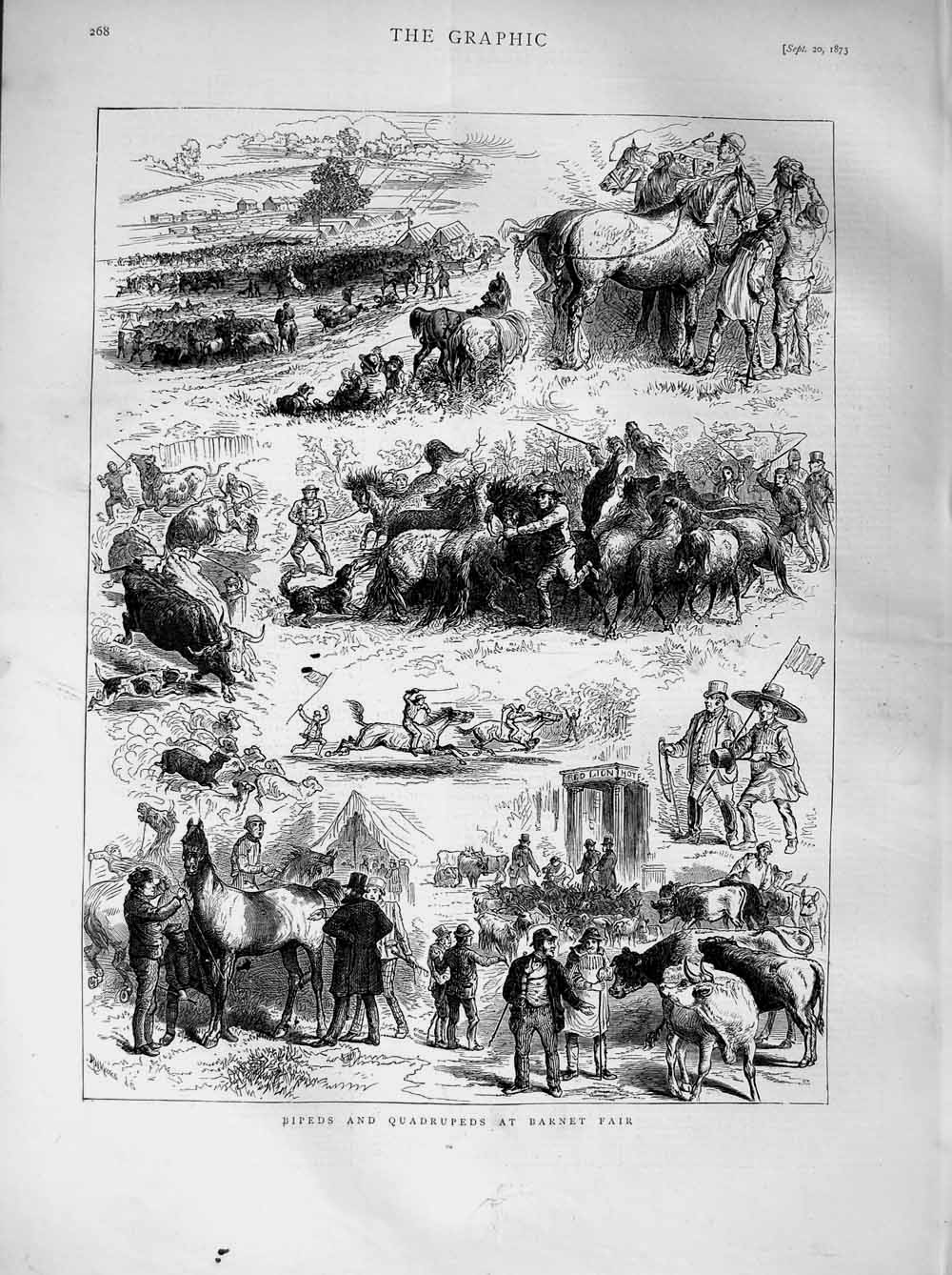 Old Antique Print 1873 Bipeds Quadrupeds Barnet Fair Horses Cattle Dogs 19th