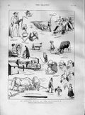 Original Old Antique Print 1873 Railway Carriage Vienna Rotterdam Train People