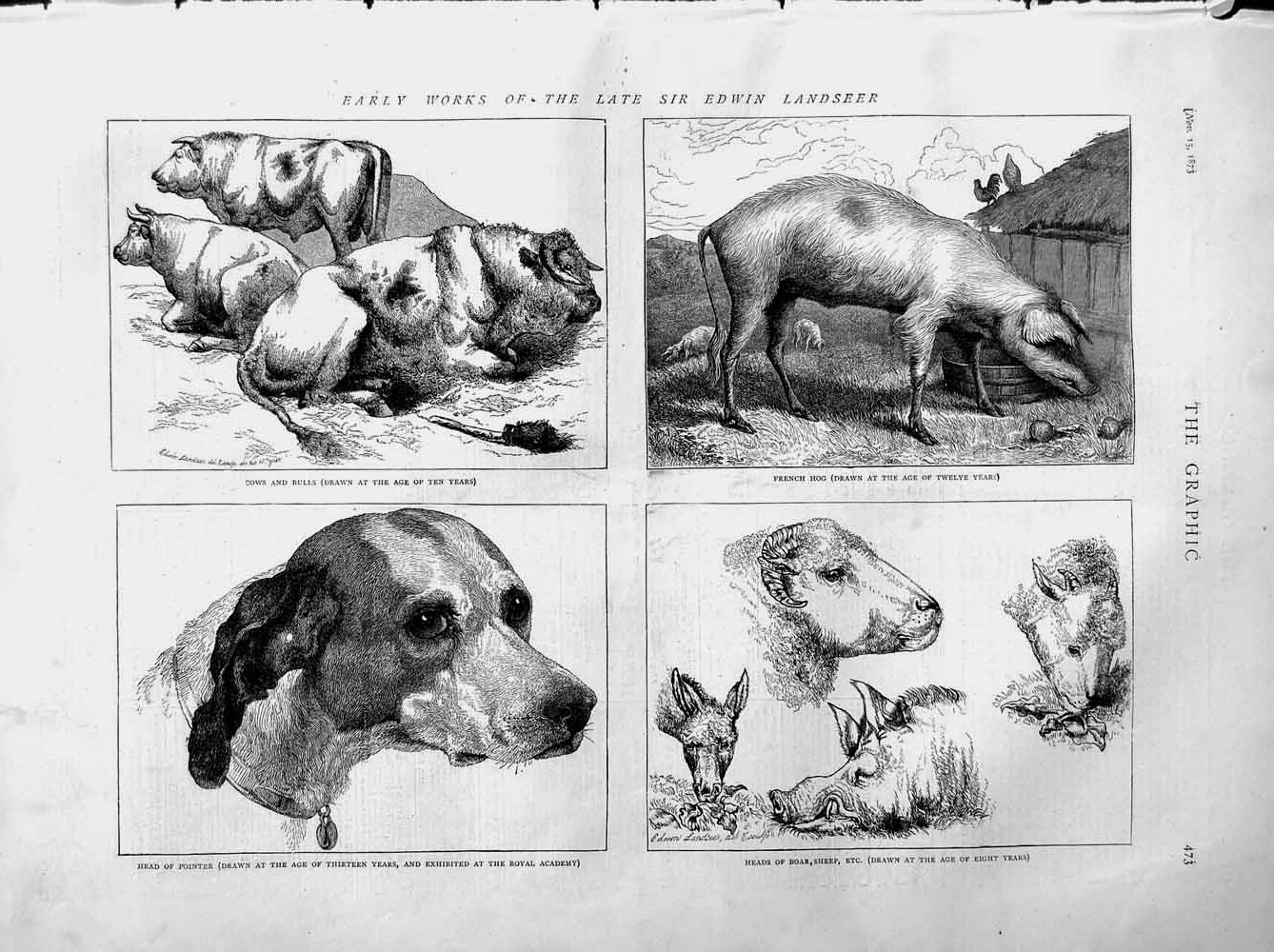 Original Old Antique Print 1873 Landseer Animals Cow Bull Hog Boar Pointer Dog