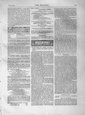 Old Antique Print 1873 Poultry Pigeons Rabbit Show Crystal Palace Animals 19th