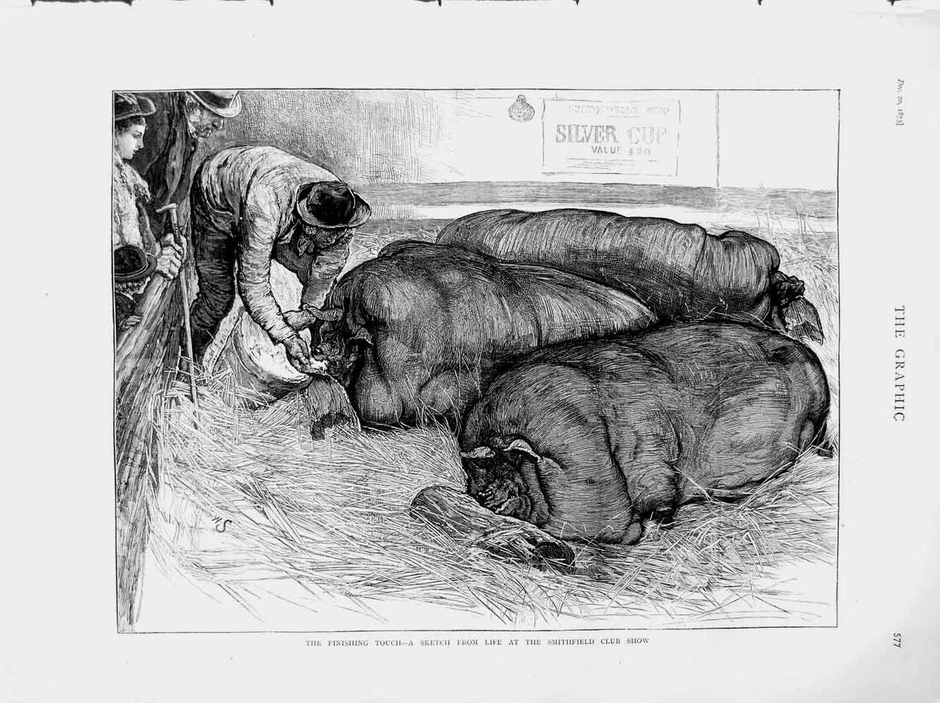 Original Old Antique Print 1873 Smithfield Club Show Animals Pigs Man Pen 19th