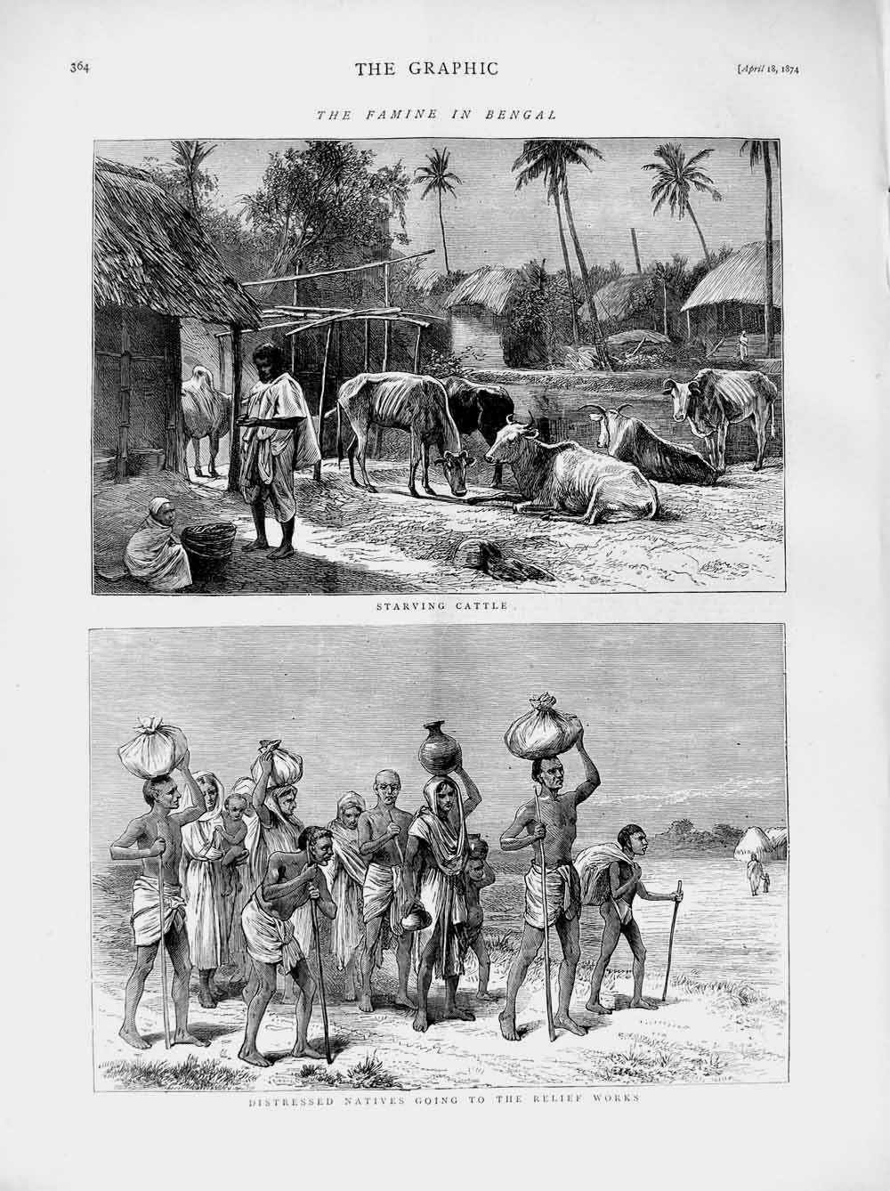 Old Antique Print 1874 Famine Bengal Cattle Starving Natives Relief Works 19th