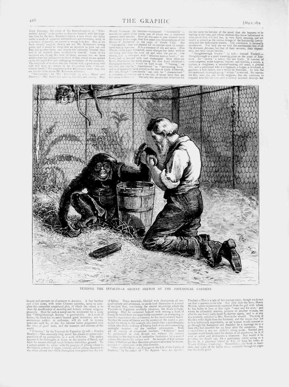 Original Old Antique Print 1874 Zoological Gardens Man Tending Invalid Monkey