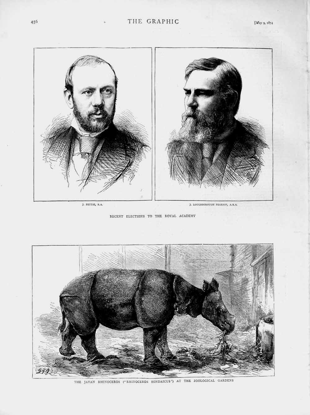 Original Old Antique Print 1874 Javan Rhinoceros Royal Academy Pettie Pearson