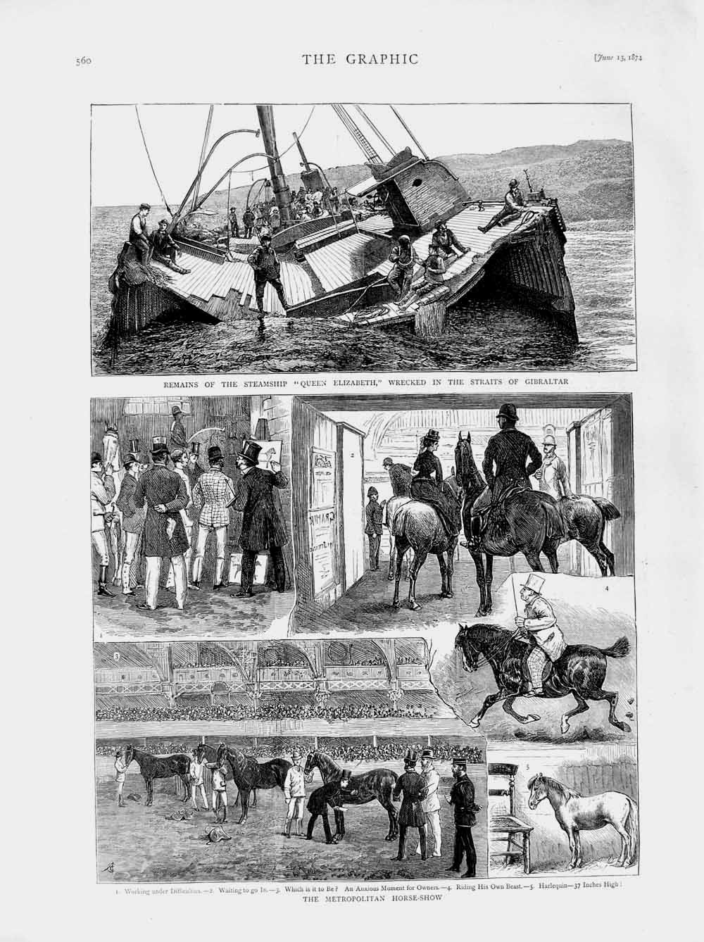 Original Old Antique Print 1874 Steam Ship Queen Elizabeth Gibraltar Horse Show