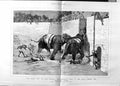 Original Old Antique Print 1875 Elephant Fight Arena Prince Wales India Baroda
