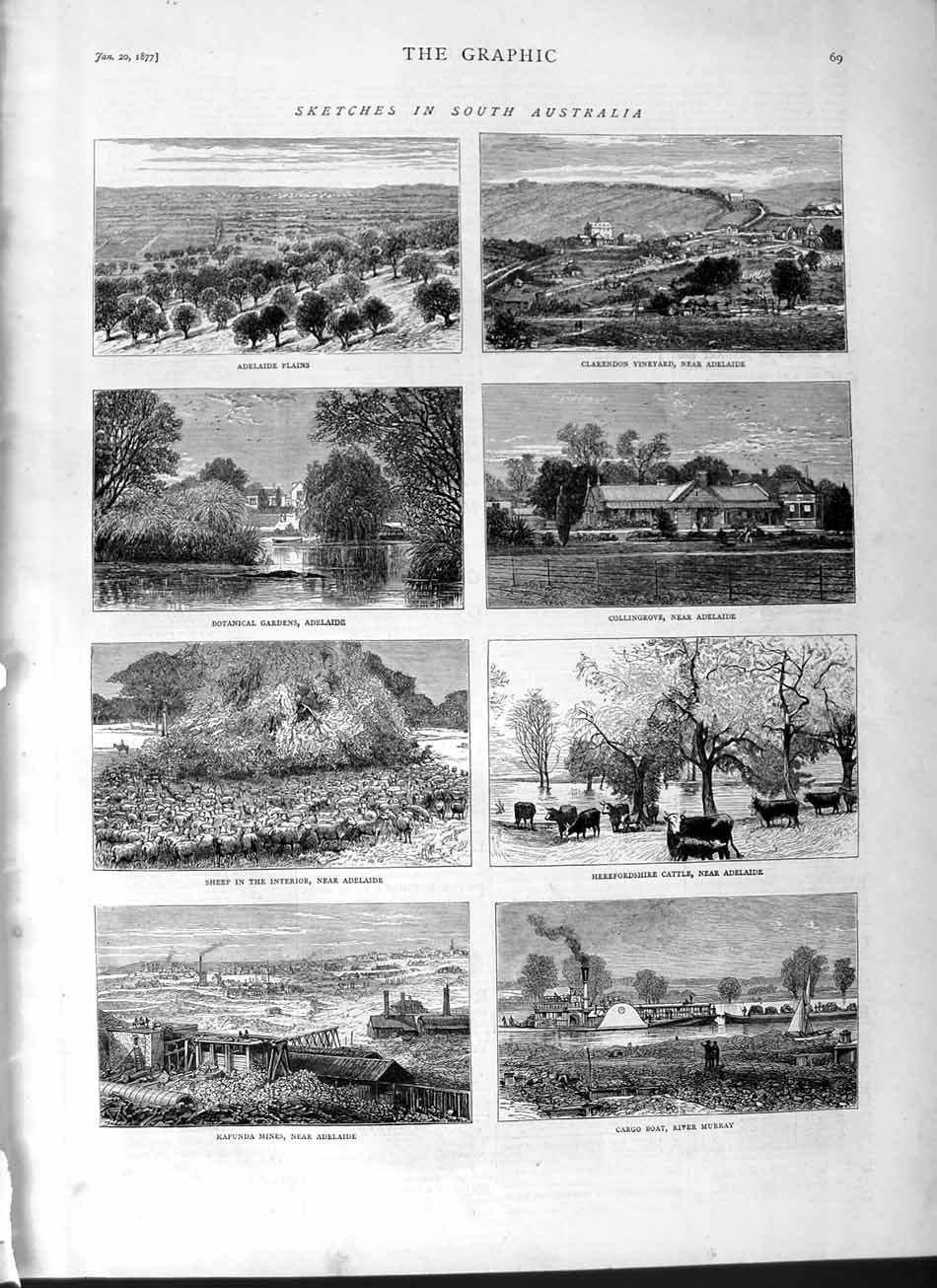 Old Antique Print 1877 Australia Adelaide Sheep Kapunda Mines Cattle Boat 19th