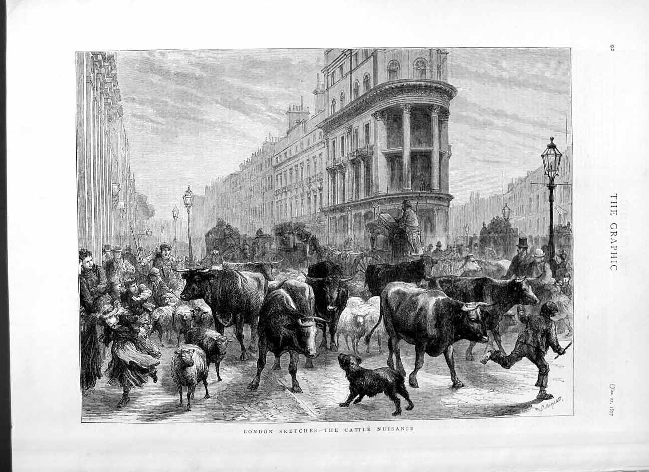 Original Old Antique Print 1877 London Cattle Street Sheep Animals Escaped 19th