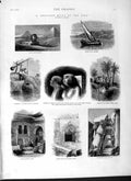 Original Old Antique Print 1877 Sphinx Pyramid Egypt Cairo Philae Shrine Nefer