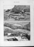Old Antique Print 1877 Famine India Transporting Rice Bullock Camp Waggon 19th