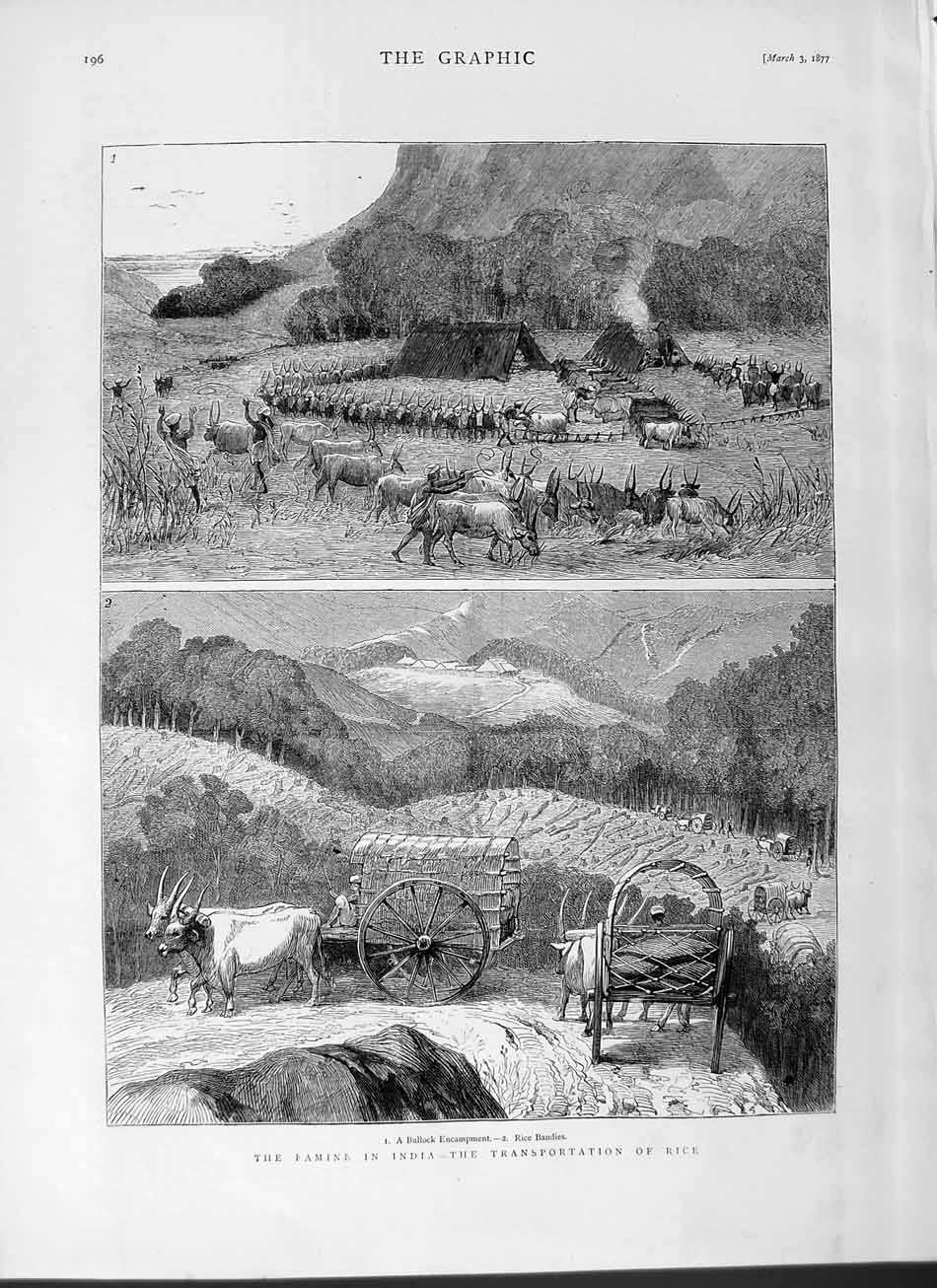 Old Antique Print 1877 Famine India Transporting Rice Bullock Camp Waggon 19th