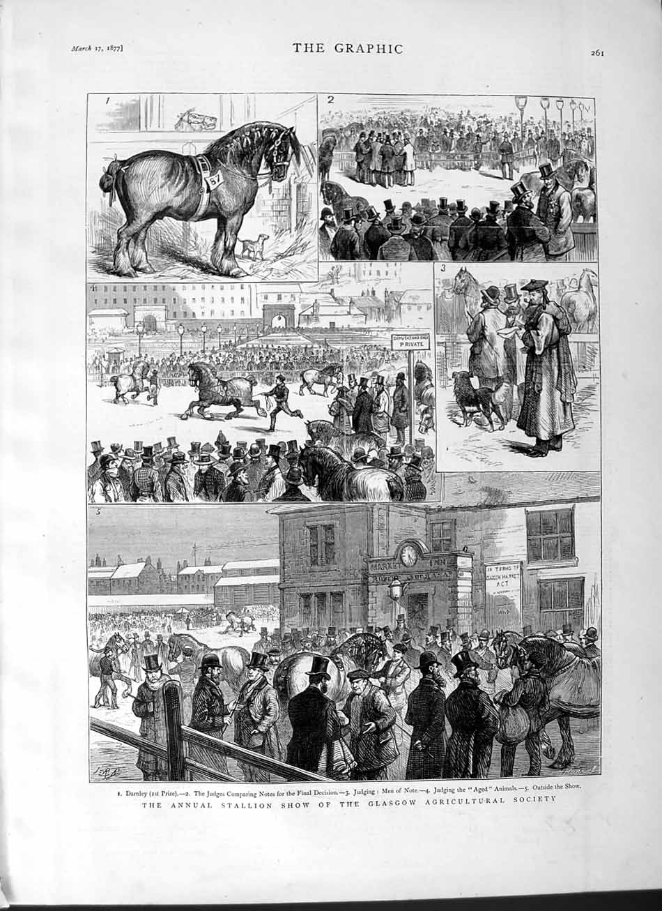 Original Old Antique Print 1877 Stallion Show Glasgow Agricultural Show Horses