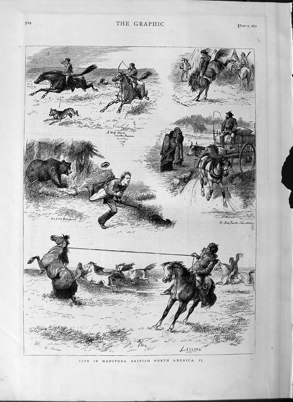 Old Antique Print 1877 Life Manitoba America Horses Bear Hunt Fox Sport 19th
