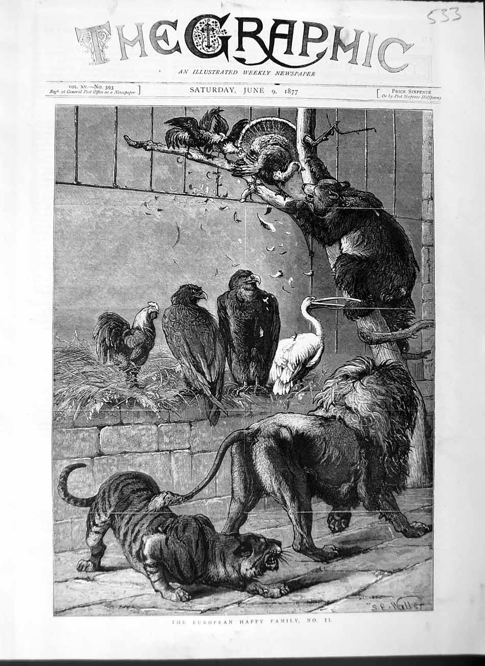 Old Antique Print 1877 Zoo Wild Animals Birds Tiger Lion Bear Chicken Art 19th