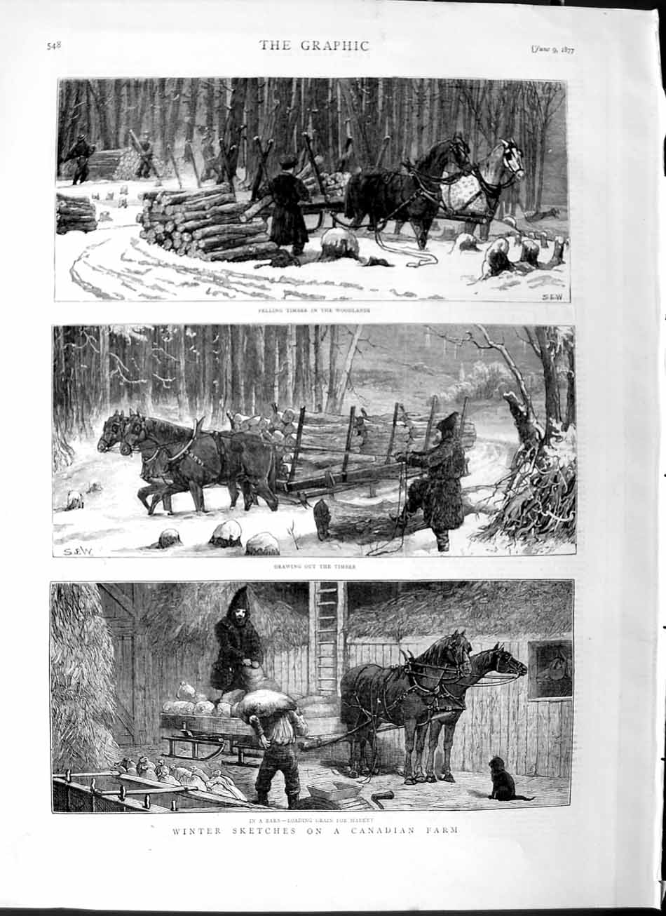 Original Old Antique Print 1877 Canada Farm Woodlands Trees Timber Horses Barn