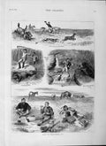 Old Antique Print 1877 Life Manitoba Sport Hunting Fishing Horses River 19th