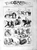 Old Antique Print 1877 Royal Agricultural Show Liverpool Animals Horses 19th