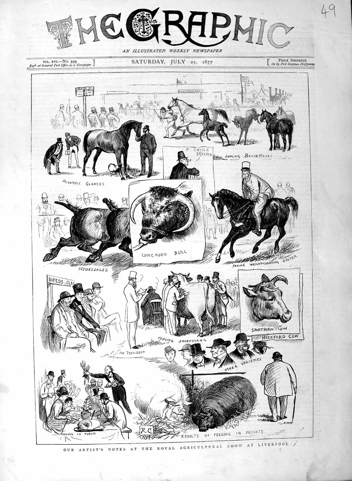 Old Antique Print 1877 Royal Agricultural Show Liverpool Animals Horses 19th