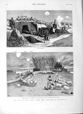 Old Antique Print 1877 War Trenches Russian Army Oltenitza Shepherd Sheep 19th