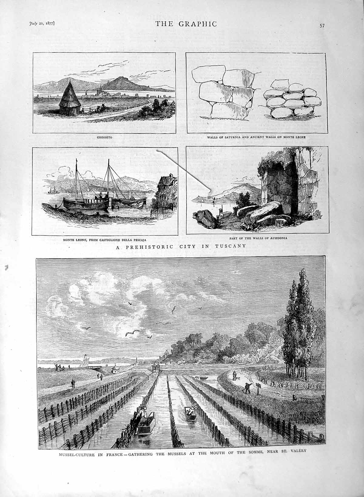 Old Antique Print 1877 Mussel Fishing France Somme Vallery Tuscany Delia 19th