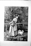 Old Antique Print 1877 Woods Fine Art Beautiful Lady Dog Bridge Country 0 19th