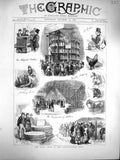 Old Antique Print 1877 Dairy Show Agricultural Hall Chicken Goat Horses 19th