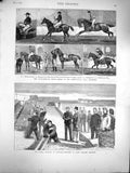Old Antique Print 1877 Agricultural Hall Islington Horses Chatham Prince 19th