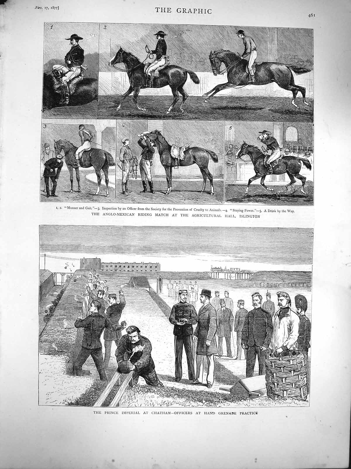 Old Antique Print 1877 Agricultural Hall Islington Horses Chatham Prince 19th