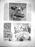 Original Old Antique Print 1877 Siers Seamens Hospital Chatham Bull Geneva 19th