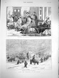 Original Old Antique Print 1878 Russian Siers Bucharest English Hospital Plevna
