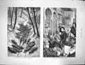 Original Old Antique Print 1878 Russian Siers Balkans Egypt Queens Speech Cairo