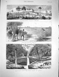 Old Antique Print 1878 Africa Thomas Island Buffalo Hunting Lopez River 19th