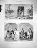 Original Old Antique Print 1878 Kaffir War Cape Colony Transvaal Zulu Algoa Bay
