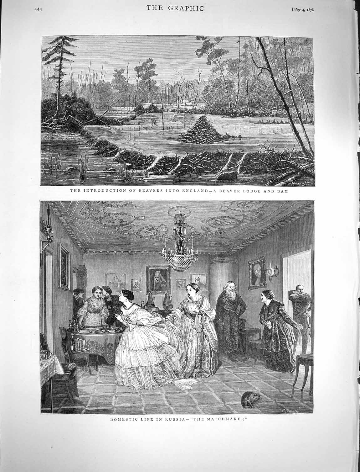 Old Antique Print 1878 Beaver Lodge Dam River England Russia Family Home 19th