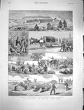 Original Old Antique Print 1878 British Ta Siers Volunteers Horses Waggons 19th
