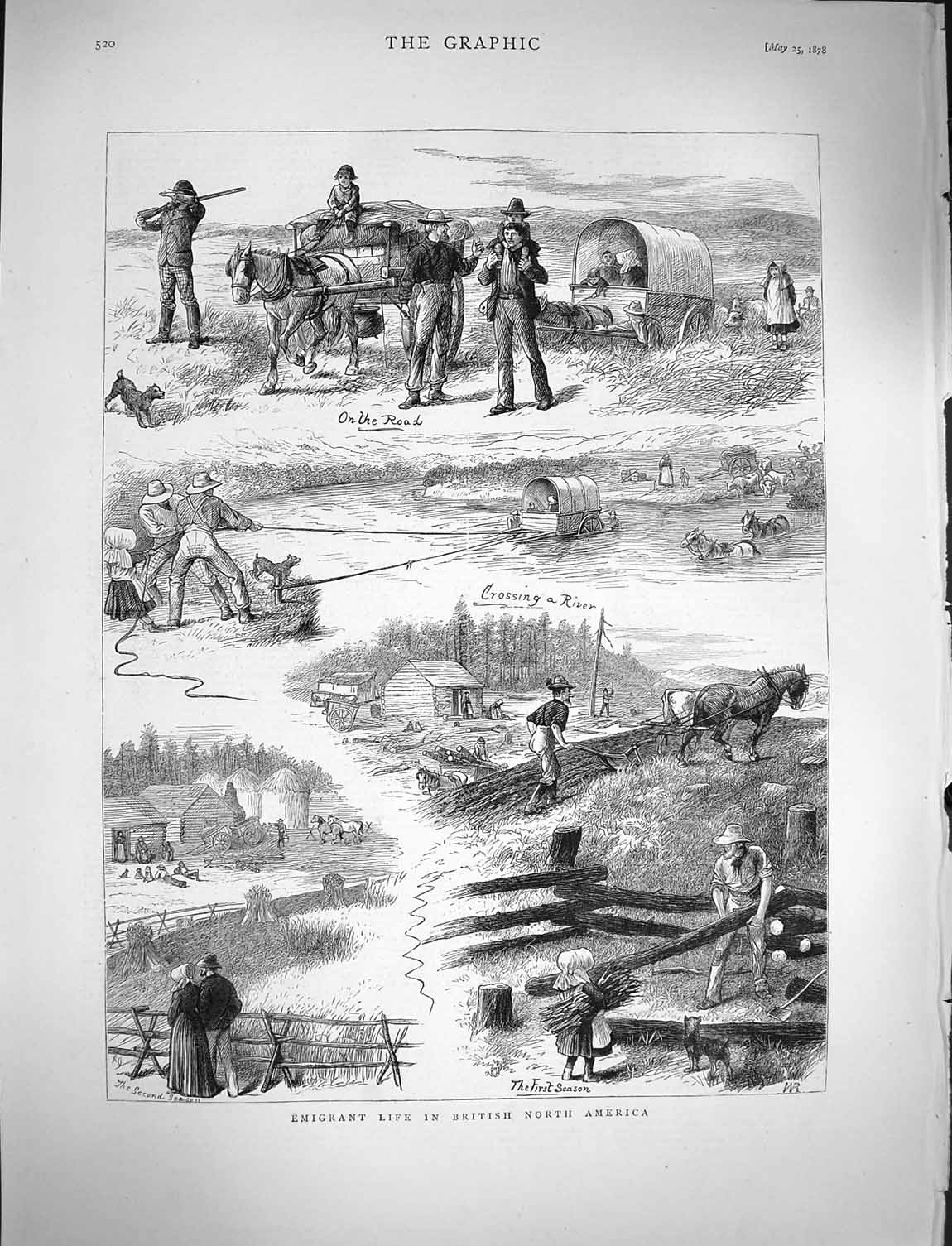 Old Antique Print 1878 Emigrant Life British North America Horses Waggons 19th
