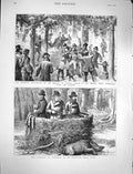 Original Old Antique Print 1878 Emperor Germany Boar Huting Assassination Hodel