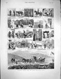 Original Old Antique Print 1878 San Remo Northern Italy Funeral Horse Siers