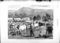 Original Old Antique Print 1879 Afghan War Guns Ali Musjid Peshawur Elepha 19th