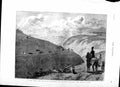 Old Antique Print 1879 Brighton Harriers Hounds Hunting Devil'S Dyke Dogs 19th