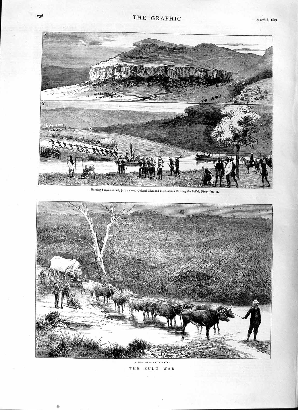 Original Old Antique Print 1879 Zulu War Oxen Natal Sirayo Kraal Glyn Buffalo