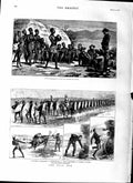 Original Old Antique Print 1879 Zulu War Natives Oxen Snake Siers Camp 19th