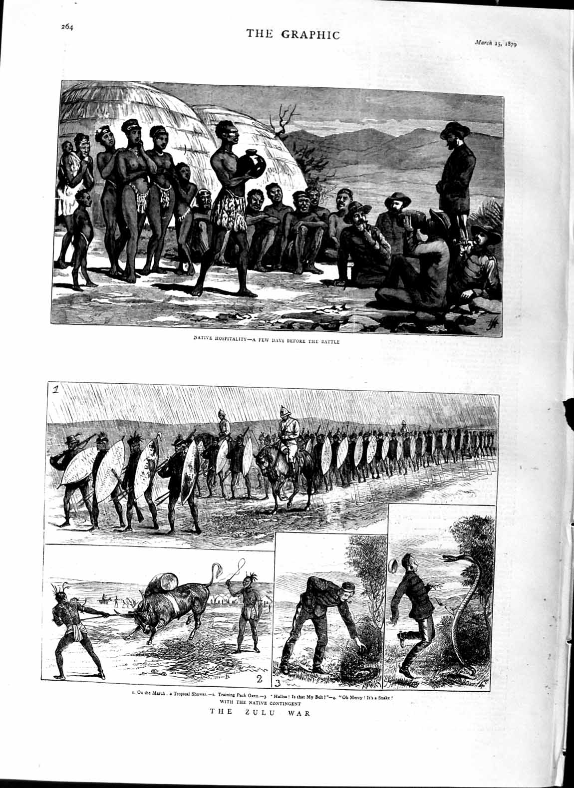 Original Old Antique Print 1879 Zulu War Natives Oxen Snake Siers Camp 19th